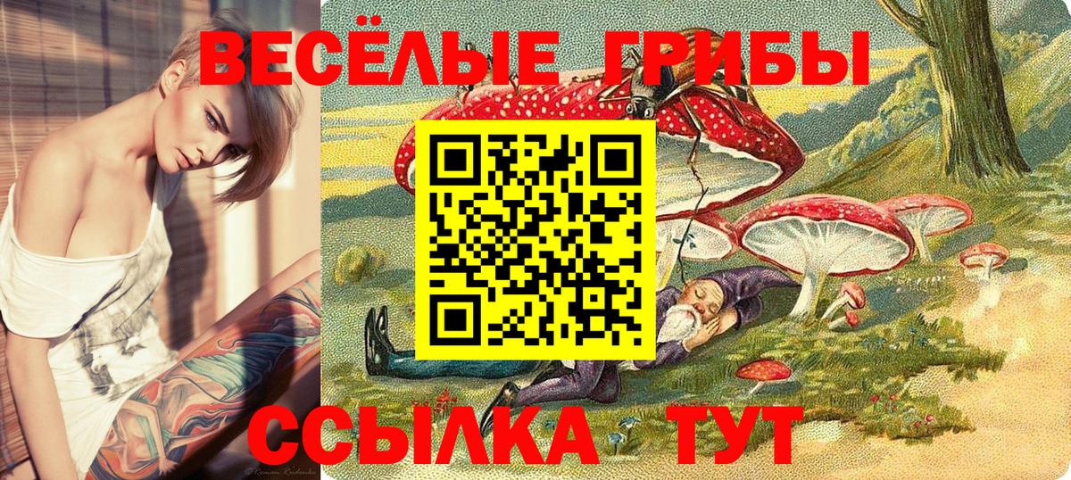 Псилоцибиновые грибы GOLDEN TEACHER  Вход с VPN  Симферополь 