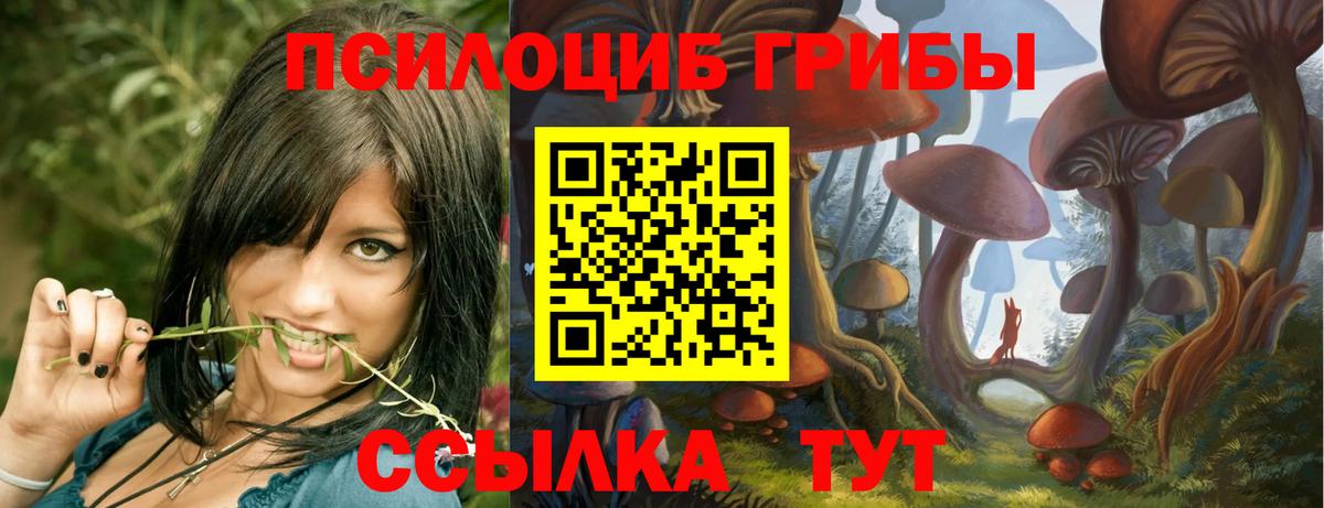 Псилоцибиновые грибы MAGIC MUSHROOMS Симферополь